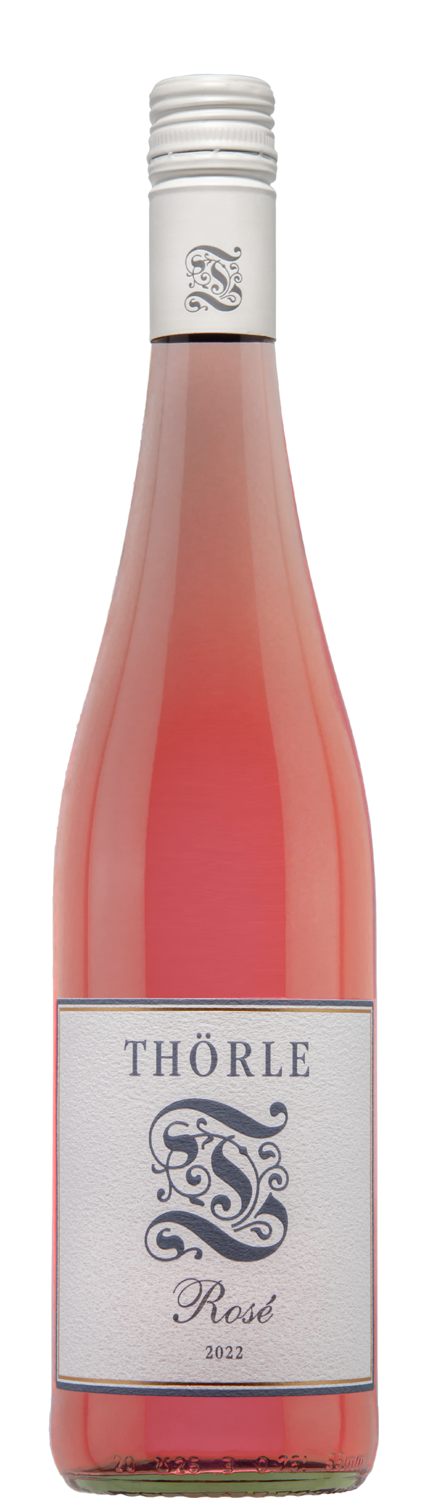 Thörle, Rose, Rheinhessen, Germany 2022