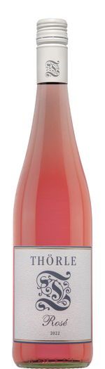 Thörle, Rose, Rheinhessen, Germany 2022