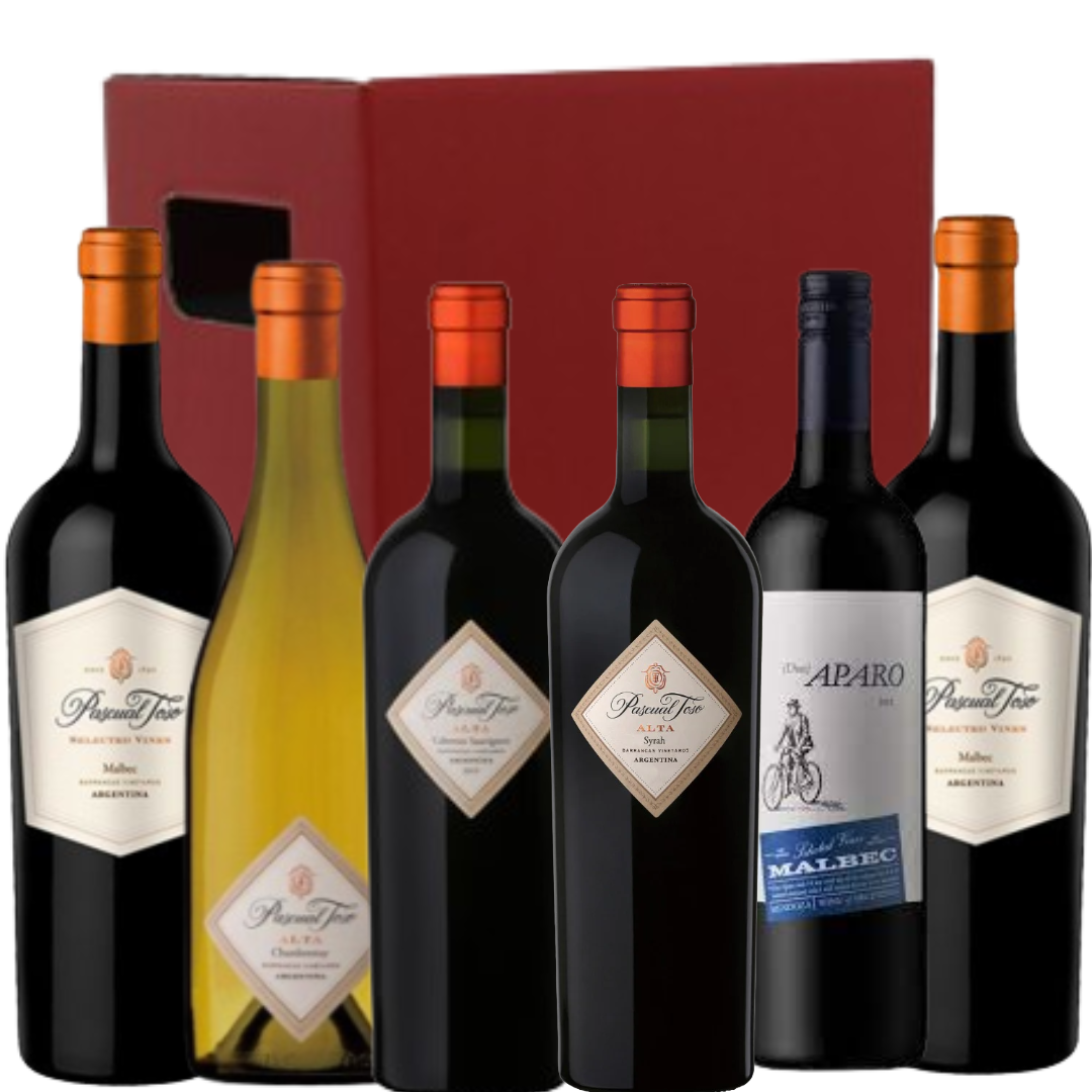 The Andes 6 Bottle Selection In Cardboard Gift Box