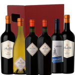 The Andes 6 Bottle Selection In Cardboard Gift Box