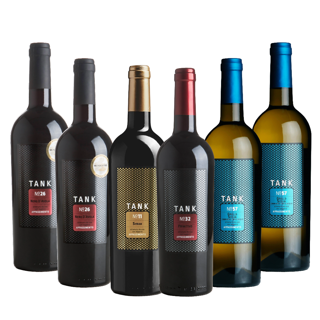 The Tank Series 6 Bottle Case