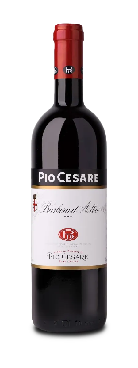 Pio Cesare Barbera d'Alba 2023