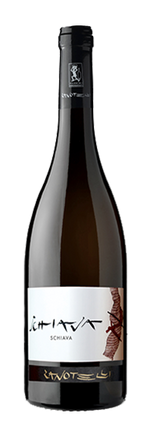 Zanotelli, Schiava, Vigneti Delle Dolomiti 2022