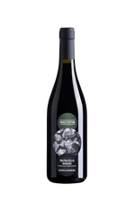 Paolo Cottini Valpolicella Ripasso Classico Superiore 2022