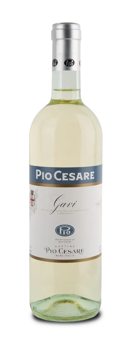 Pio Cesare Gavi 2024