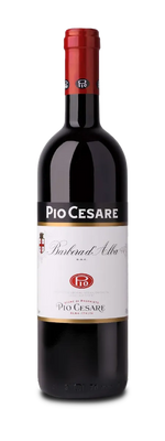 Pio Cesare Barbera d'Alba 2023