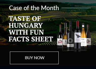 A selection of Hungarian wines presented in front of a dramatic scene of a Hungarian vineyard.